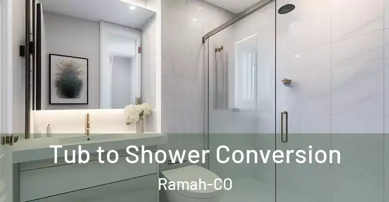 inner Bathroom imggen Tub to Shower Conversion Ramah-CO