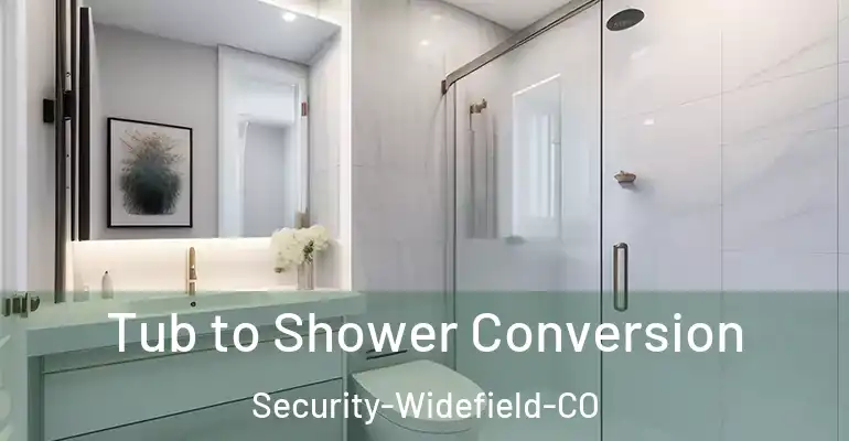 inner Bathroom imggen Tub to Shower Conversion Security-Widefield-CO