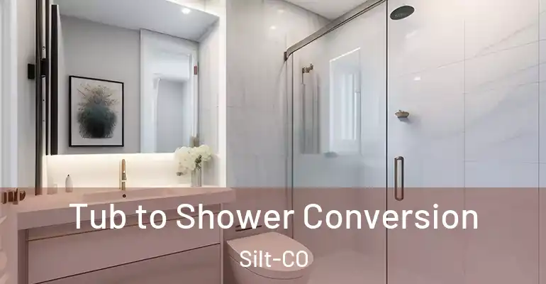 inner Bathroom imggen Tub to Shower Conversion Silt-CO