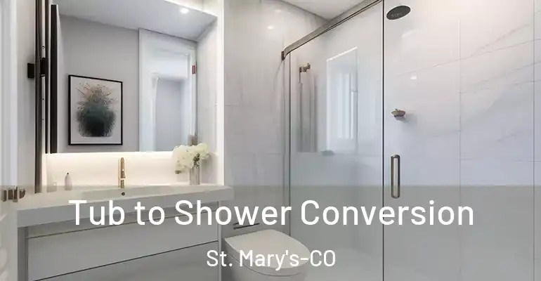 inner Bathroom imggen Tub to Shower Conversion St. Mary's-CO