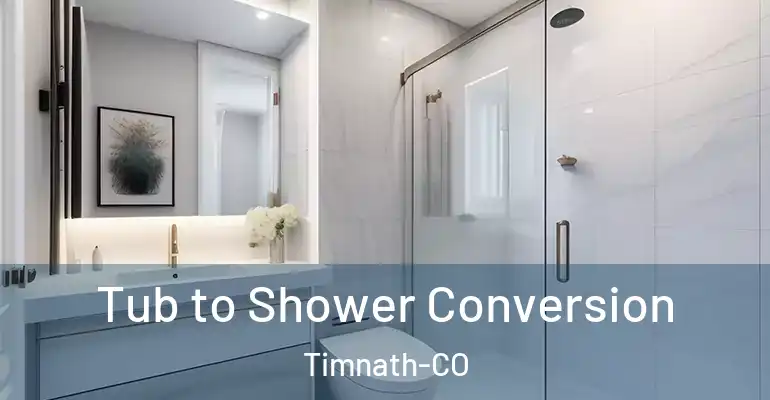 inner Bathroom imggen Tub to Shower Conversion Timnath-CO