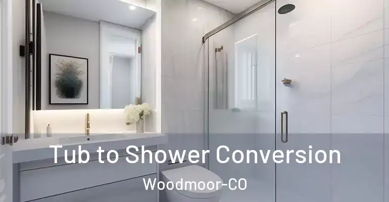 inner Bathroom imggen Tub to Shower Conversion Woodmoor-CO