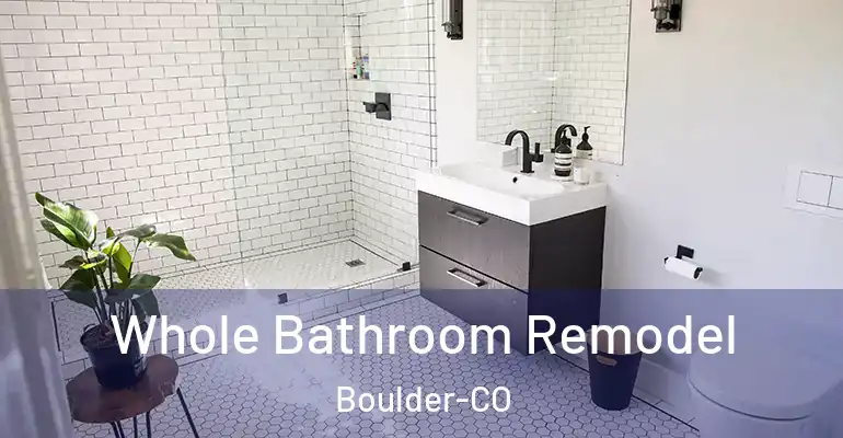 inner Bathroom imggen Whole Bathroom Remodel Boulder-CO