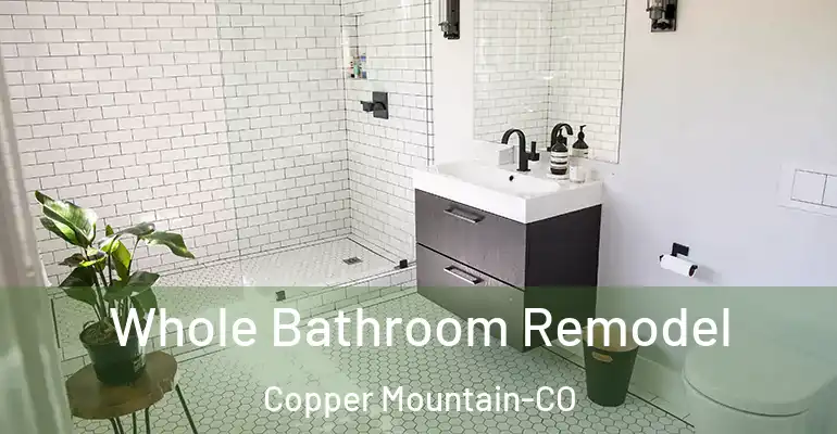 inner Bathroom imggen Whole Bathroom Remodel Copper Mountain-CO