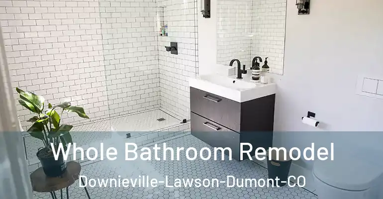 inner Bathroom imggen Whole Bathroom Remodel Downieville-Lawson-Dumont-CO