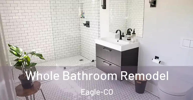 inner Bathroom imggen Whole Bathroom Remodel Eagle-CO
