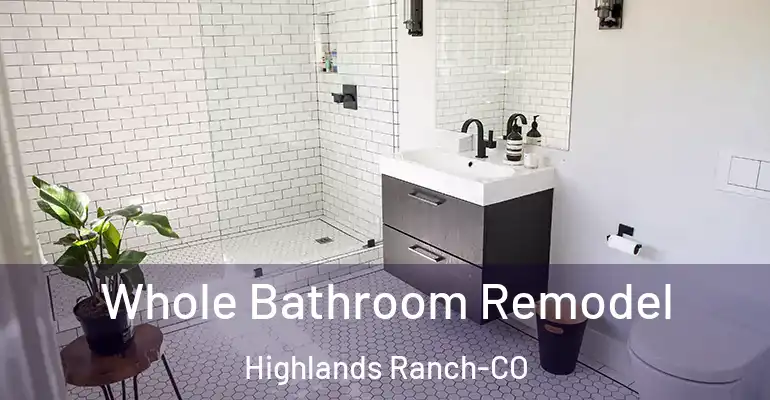 inner Bathroom imggen Whole Bathroom Remodel Highlands Ranch-CO