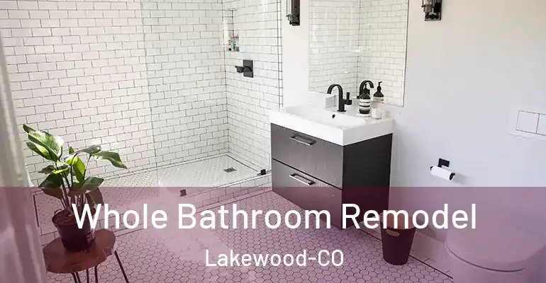 inner Bathroom imggen Whole Bathroom Remodel Lakewood-CO