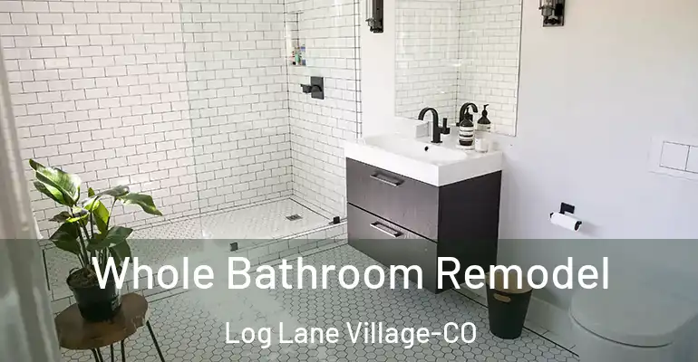 inner Bathroom imggen Whole Bathroom Remodel Log Lane Village-CO