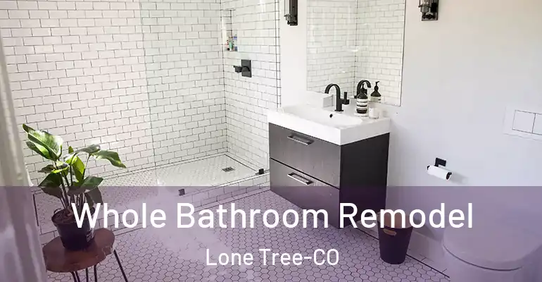 inner Bathroom imggen Whole Bathroom Remodel Lone Tree-CO