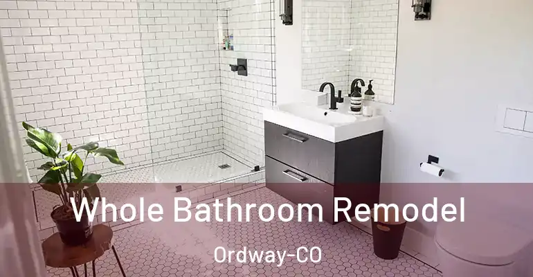 inner Bathroom imggen Whole Bathroom Remodel Ordway-CO