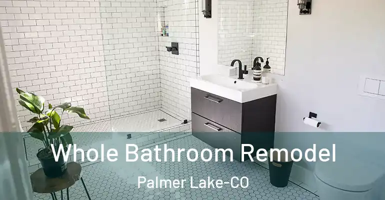 inner Bathroom imggen Whole Bathroom Remodel Palmer Lake-CO