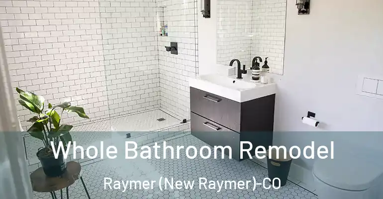 inner Bathroom imggen Whole Bathroom Remodel Raymer (New Raymer)-CO