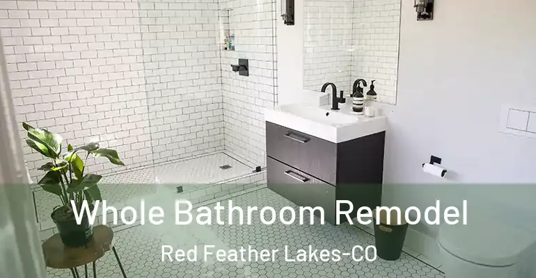 inner Bathroom imggen Whole Bathroom Remodel Red Feather Lakes-CO
