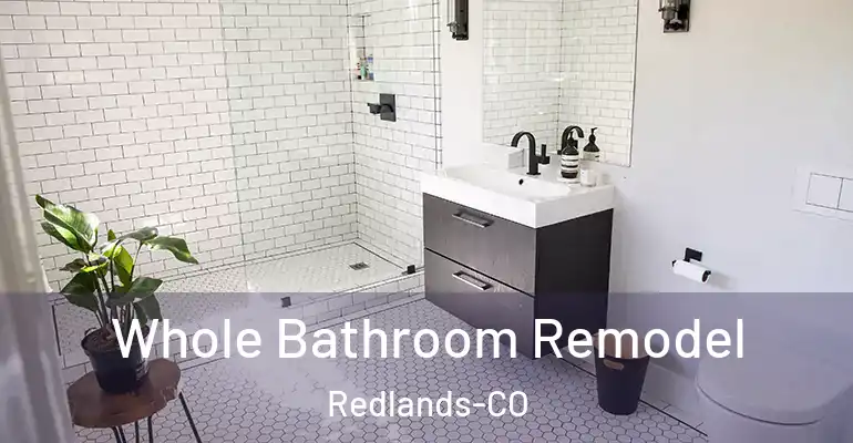 inner Bathroom imggen Whole Bathroom Remodel Redlands-CO
